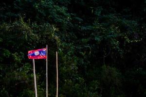 bandeira contra vegetação foto