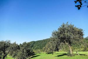 paisagem na eslovênia, europa foto