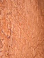macro de textura de madeira marrom, adequada para fundo de papel de parede. foto