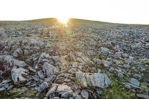 paisagem na suécia, europa foto