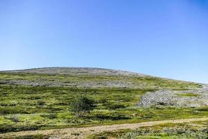 paisagem na suécia, europa foto