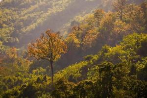 paisagem rural na ásia oriental foto