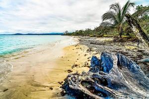 bela costa na costa rica foto