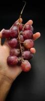 frutas de uva vermelha na mão contra um fundo preto, foto tirada do ângulo superior