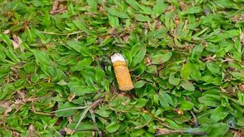 um pedaço de bituca de cigarro na grama foto