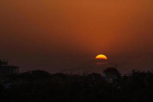 silhueta de árvores ao pôr do sol foto