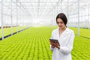 cientista segurando um tablet foto