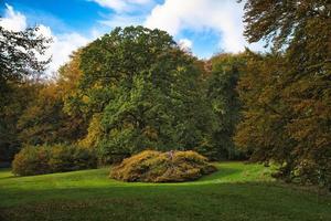 parque do castelo de frederiksborg no outono com poderosas árvores de folha caduca nos prados do jardim foto
