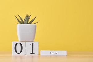 calendário de blocos de madeira com data de 1º de junho e planta suculenta em fundo amarelo foto