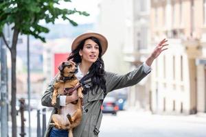 jovem mulher com cachorro acenando para parar um táxi na rua. jovem fêmea com cachorro engraçado esticando o braço e pegando táxi em pé na beira da estrada na cidade foto