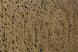 padrão de cartuchos de calibre 12 para balas de espingarda. conchas para rifle de caça close-up. pano de fundo para o campo de tiro ou conceitos de comércio de munição foto