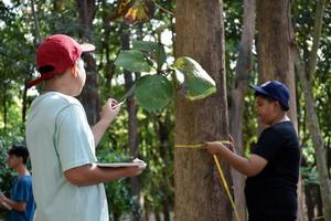 três meninos asiáticos estão lendo detalhes de pássaros e vão usar binóculos para observar pássaros nas árvores durante o acampamento de verão, ideia para aprender criaturas e animais selvagens fora da sala de aula. foto