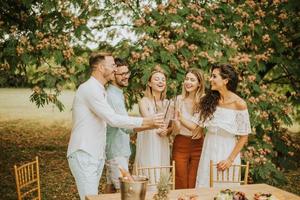 grupo de jovens felizes torcendo com limonada fresca e comendo frutas no jardim foto