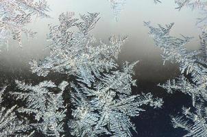 macro de geada de flocos de neve no painel de vidro da janela foto