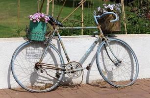 bicicleta no parque da cidade perto do mar. foto