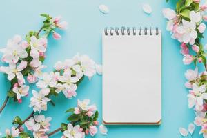 sakura de primavera florescendo em um fundo azul com espaço de bloco de notas para uma mensagem. baixo contraste foto