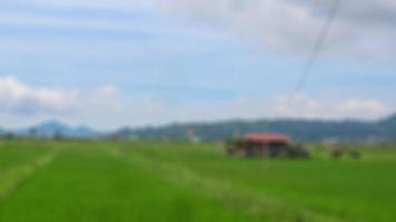 cabana no meio dos campos de arroz rodeado por colinas foto