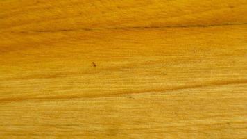 textura de grão de madeira para fundo foto