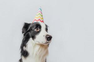 conceito de festa de aniversário feliz. engraçado cachorrinho bonitinho border collie usando chapéu bobo de aniversário isolado no fundo branco. cão de estimação no dia do aniversário. foto