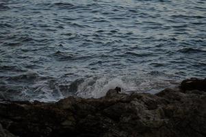 ondas do mar batendo nas rochas. foto