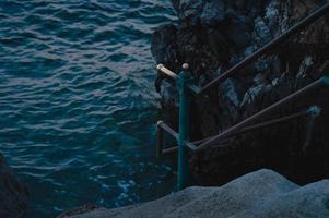 entre na água, corrimão, escadas, croácia entre no mar. foto