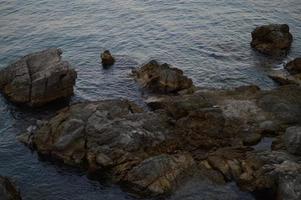 pedras na praia, águas calmas foto