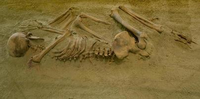 boljetin, sérvia, 2021 - restos de esqueletos do museu de lepenski vir na sérvia. lepenski vir é o assentamento planejado mais antigo da europa. foto