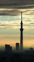 edifício de silhueta de árvore do céu de Tóquio e pôr do sol com céu e nuvens. foto
