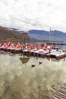 kaltern, tirol do sul, itália -14 de novembro de 2022 galeirões eurasianos fulica atra vistos no outono no lago caldaro, um lago natural para banho com aluguel de pedalinho foto