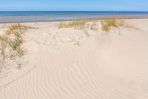 padrões na areia da praia foto