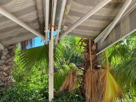 palapa de praia oceânica e folhas de palmeira de coco sobre fundo de céu azul brilhante. cenário de destino de férias ensolarado tropical foto