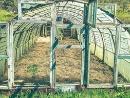 estufa caseira no jardim dos residentes de verão. agricultura do tipo faça-você-mesmo. estufa de janelas e portas antigas. madeira velha no quadro da estufa foto