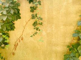 textura de madeira abstrata com folhas verdes foto