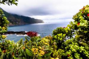 2022 08 16 flor do seixal e panorama foto