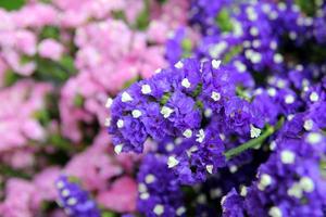 viajar para bangkok, tailândia. as flores roxas e rosa no buquê no mercado. foto