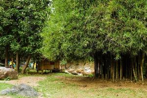 vista em um parque de campismo e casa de bambu na floresta tropical. Chiang Dao, Tailândia. foto