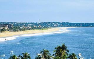 belo panorama natural seascape palmeiras praia puerto escondido méxico. foto