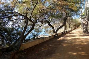 caminho de ronda, uma estrada paralela à costa brava catalã, localizada no mar mediterrâneo, no norte da catalunha, espanha. foto