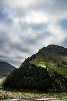 belas árvores floresta paisagem naran jhalkand foto