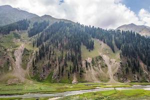 naran jhalkand parque nacional bela paisagem vista para as montanhas foto