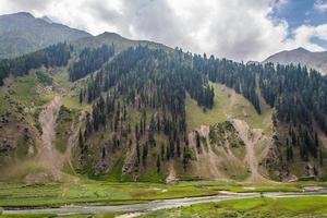 naran jhalkand parque nacional bela paisagem vista para as montanhas foto