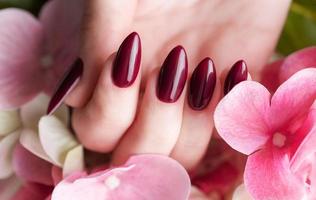 mãos de uma jovem com manicure vermelho escuro nas unhas foto