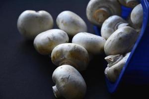 cogumelos porcini despejados. um monte de champignons caiu da embalagem. cogumelos espalhados em um fundo preto. foto