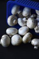 cogumelos porcini despejados. um monte de champignons caiu da embalagem. cogumelos espalhados em um fundo preto. foto