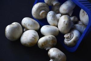 cogumelos porcini despejados. um monte de champignons caiu da embalagem. cogumelos espalhados em um fundo preto. foto