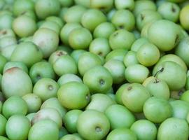 maçã de macaco no mercado para venda foto