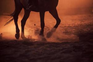 imagem majestosa da silhueta do cavalo com cavaleiro no fundo do pôr do sol foto