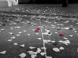 pétalas de rosa vermelhas e papel branco em forma de coração pequeno no chão em cerimônia de casamento, Cracóvia, Polônia, preto e branco, foco seletivo foto