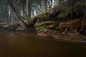 pequeno rio da floresta no início da primavera foto