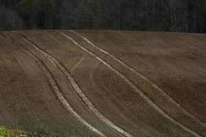 paisagens de primavera com nuvens foto